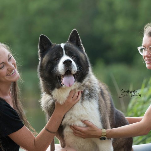 Omschrijving van de foto